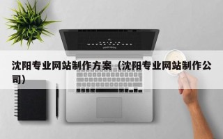 昌邑沈阳专业网站制作方案（沈阳专业网站制作公司）